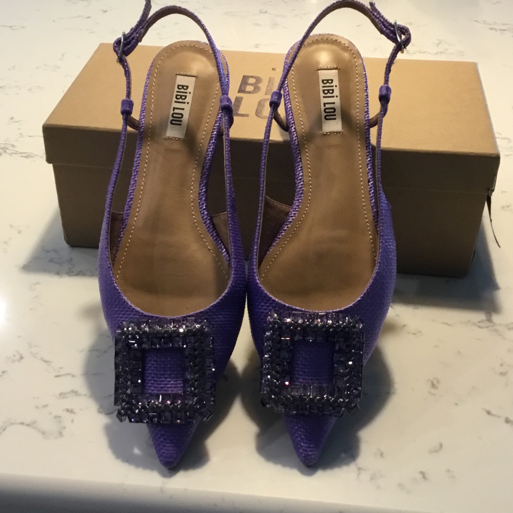 Fabulous Bibi Lou Dancing Shoes